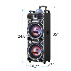 Dual 10" Rechargeable Speaker System with Wheels, LED Lights, Wireless Mic and Remote